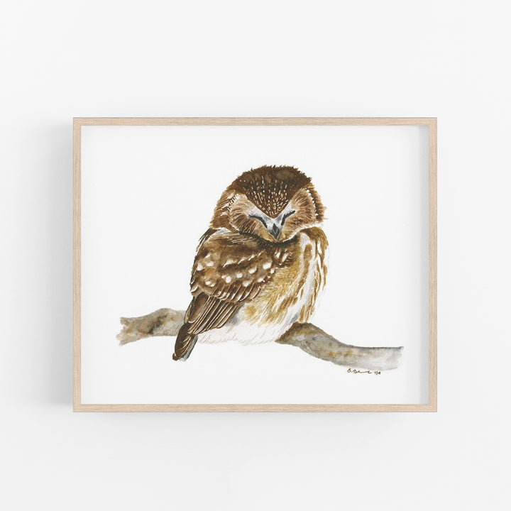 Sleeping Baby Owl Print - Tiny Toes Design