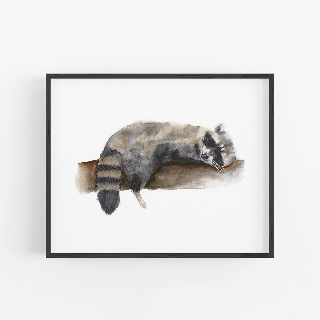 Sleeping Baby Raccoon - Tiny Toes Design