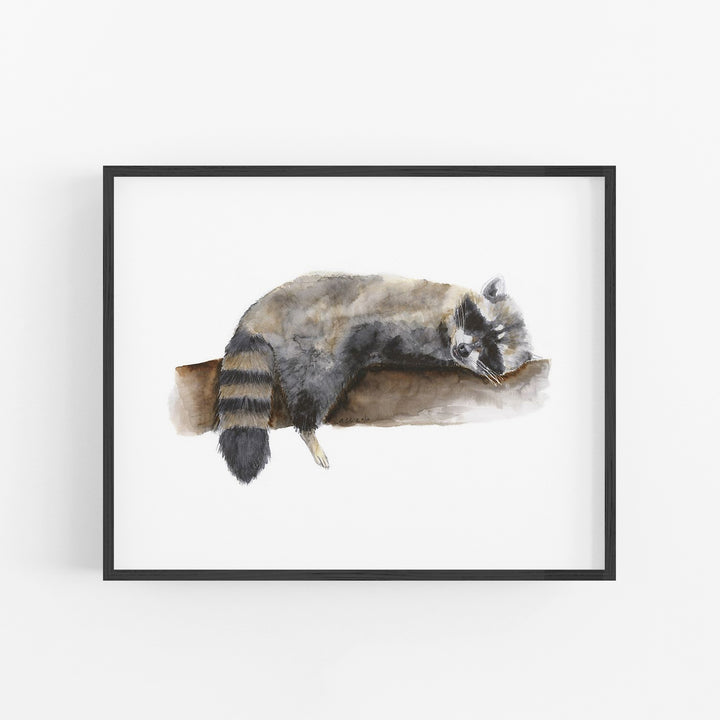 Sleeping Baby Raccoon - Tiny Toes Design
