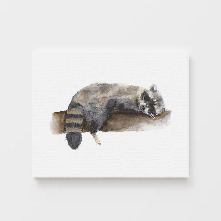 Sleeping Baby Raccoon - Tiny Toes Design