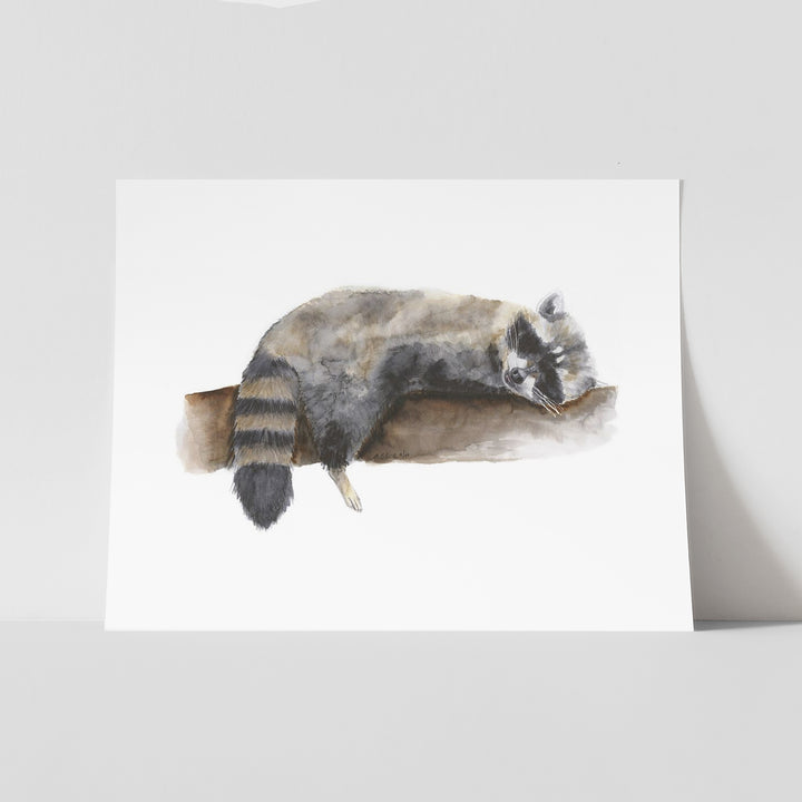 Sleeping Baby Raccoon - Tiny Toes Design