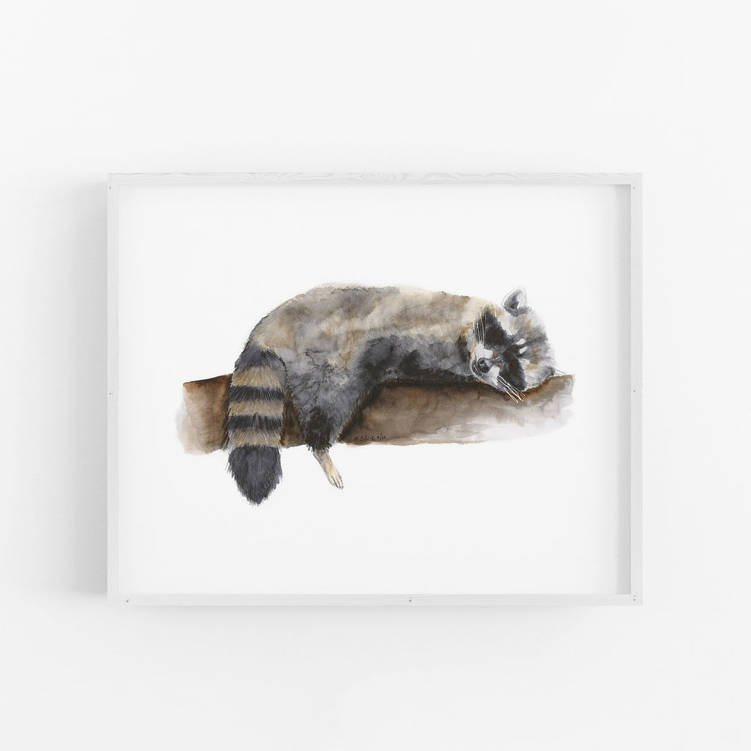 Sleeping Baby Raccoon - Tiny Toes Design