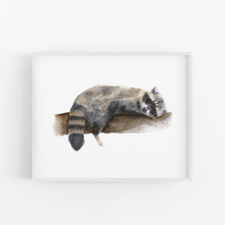 Sleeping Baby Raccoon - Tiny Toes Design