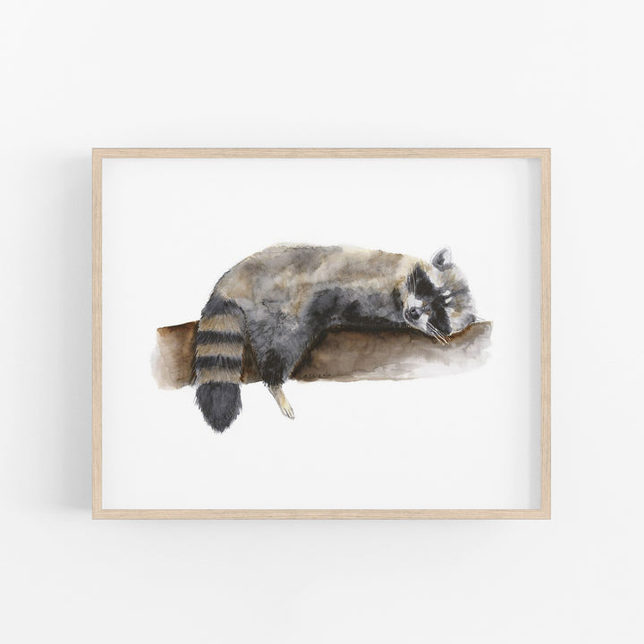 Sleeping Baby Raccoon - Tiny Toes Design