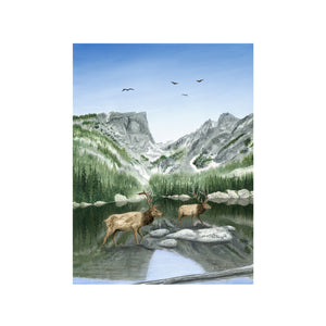 Rocky Mountain National Park Print - Brett Blumenthal | Tiny Toes Design
