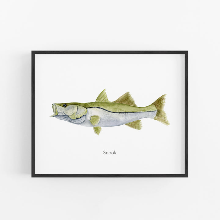 Snook Print - Tiny Toes Design