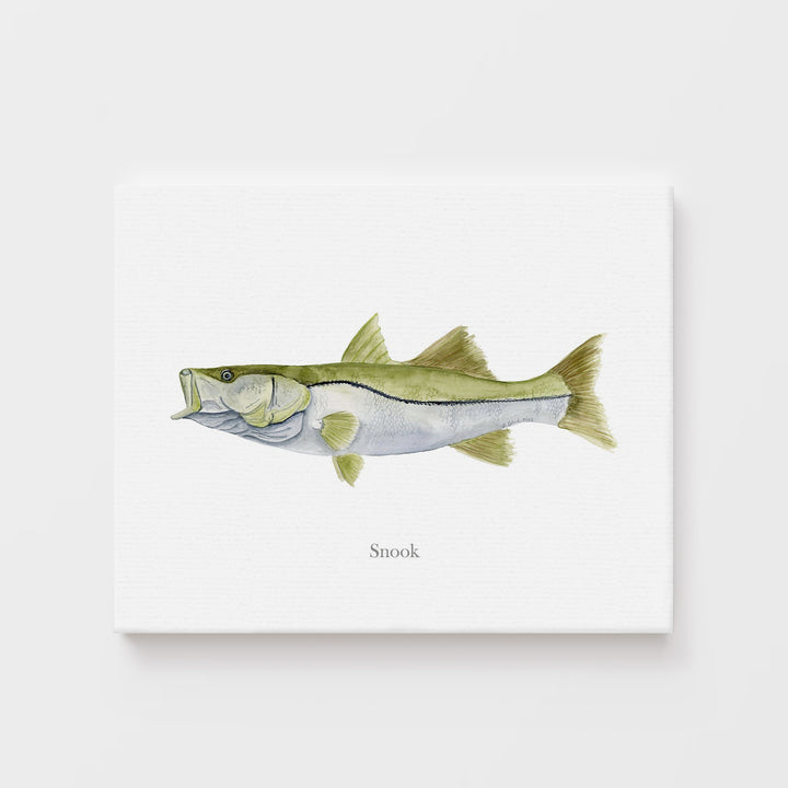 Snook Print - Tiny Toes Design