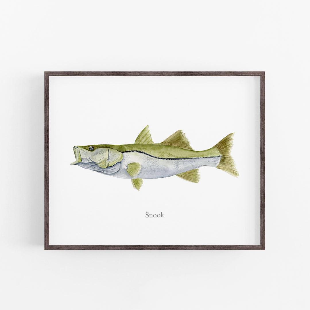 Snook Print - Tiny Toes Design