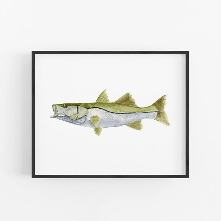 Snook Print - Tiny Toes Design