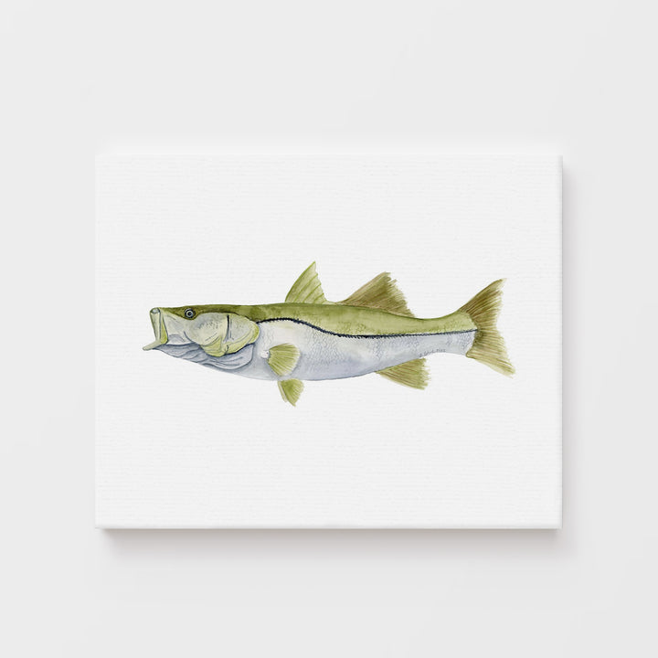 Snook Print - Tiny Toes Design