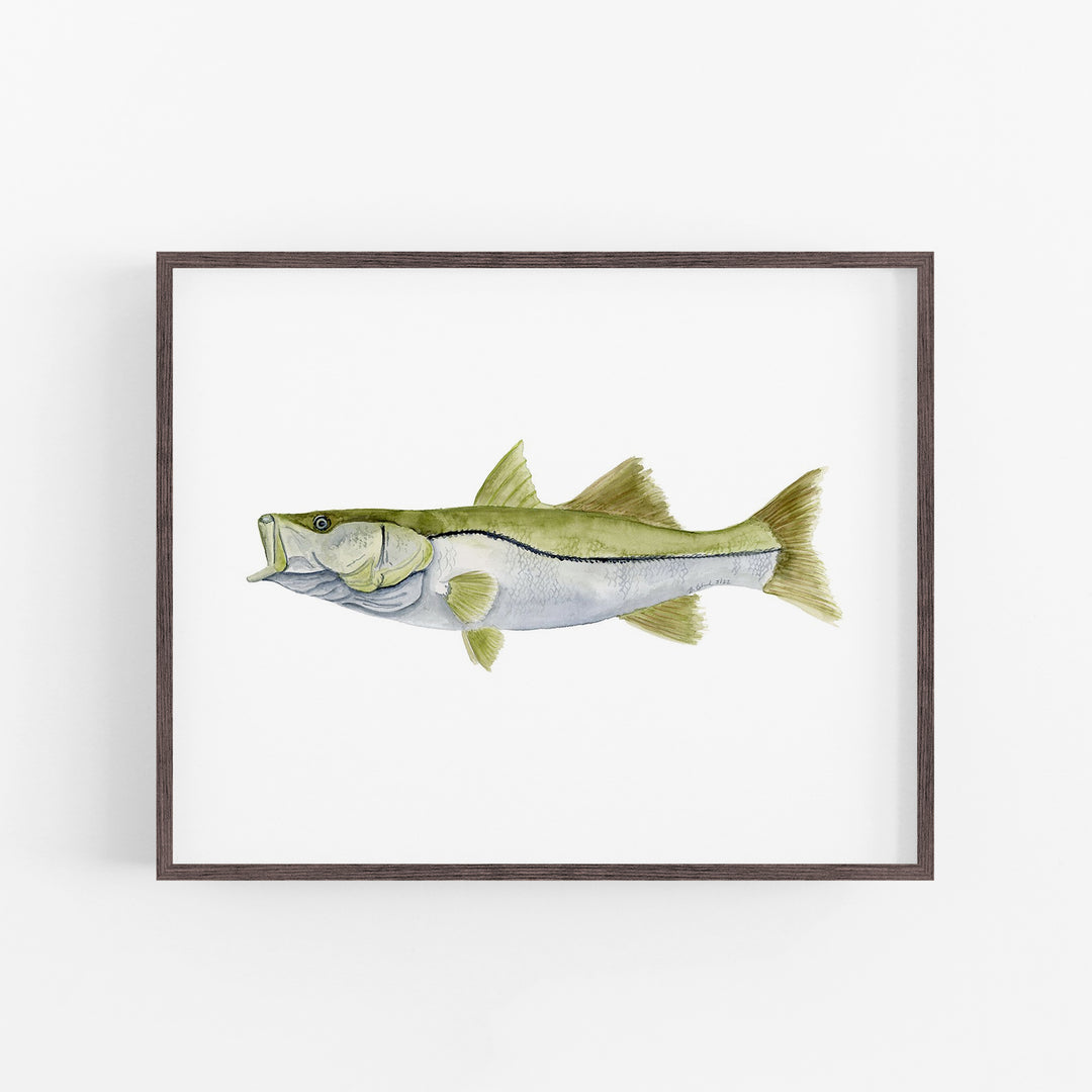 Snook Print - Tiny Toes Design