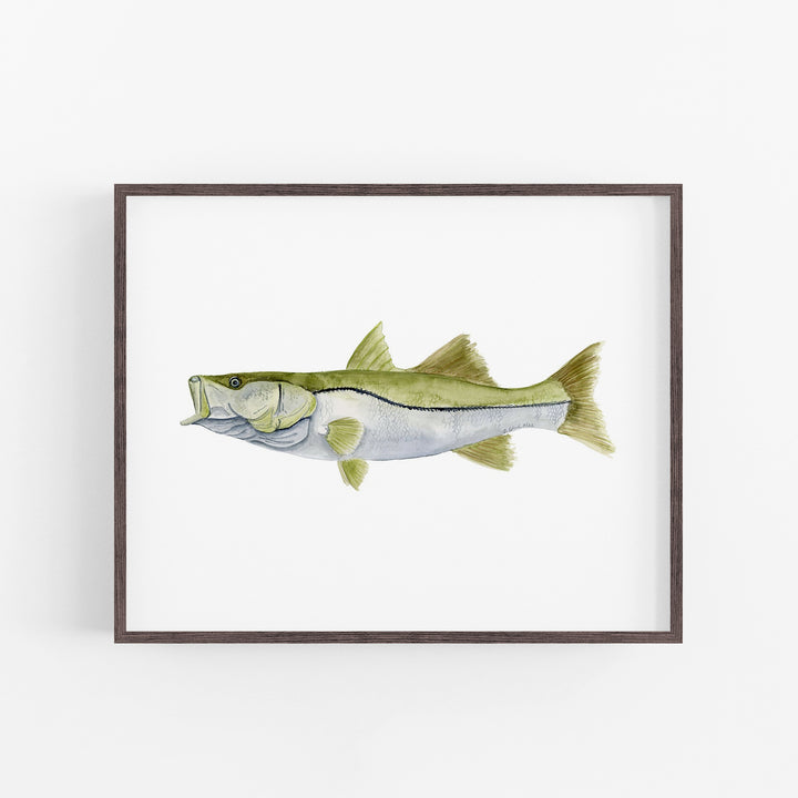 Snook Print - Tiny Toes Design