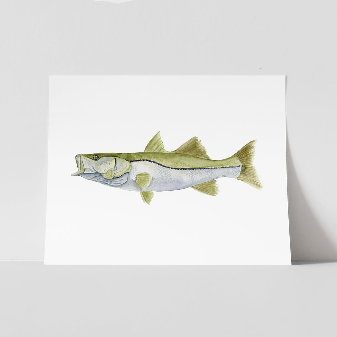 Snook Print - Tiny Toes Design
