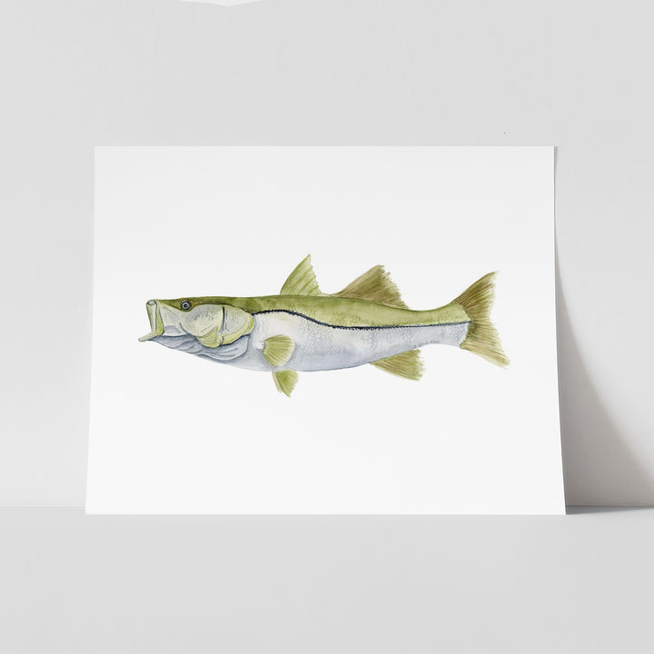 Snook Print - Tiny Toes Design