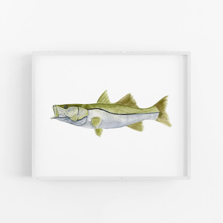 Snook Print - Tiny Toes Design