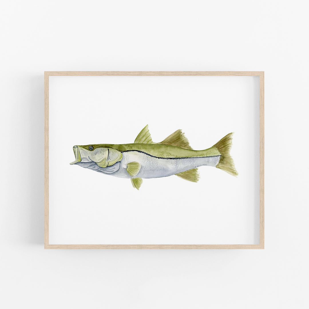 Snook Print - Tiny Toes Design