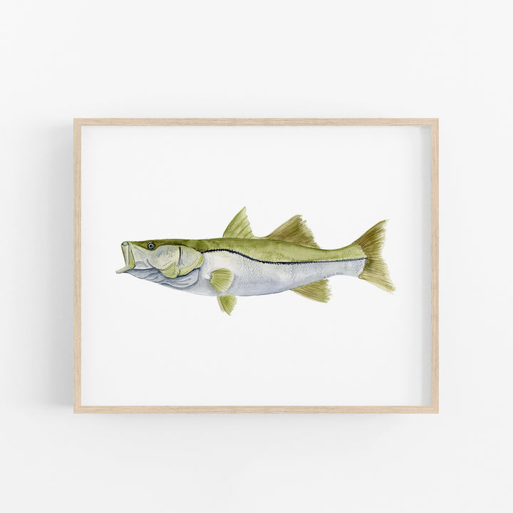 Snook Print - Tiny Toes Design