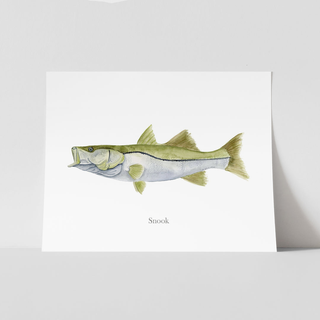 Snook Print - Tiny Toes Design