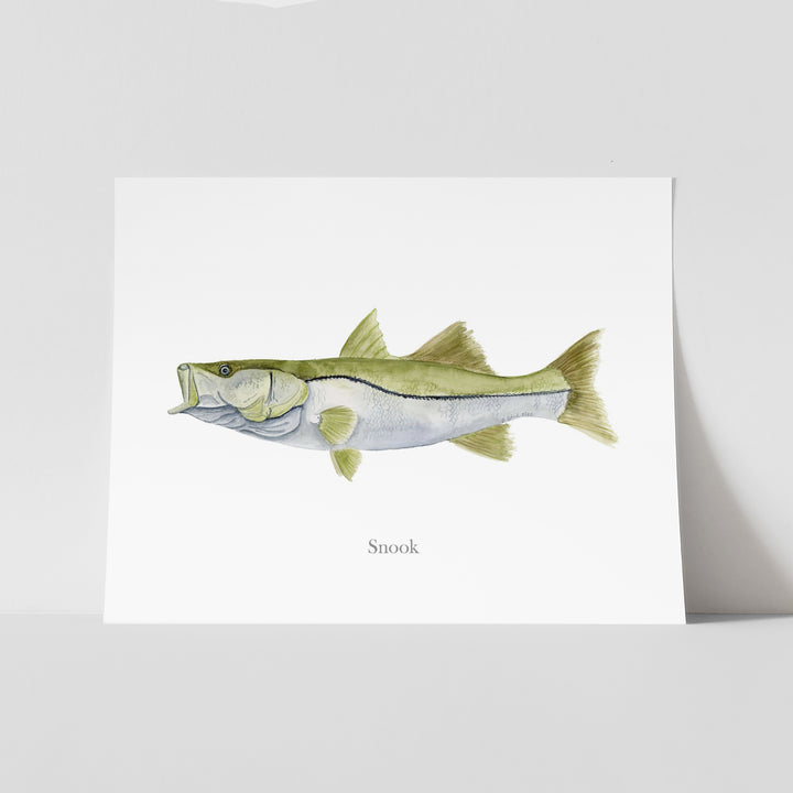 Snook Print - Tiny Toes Design