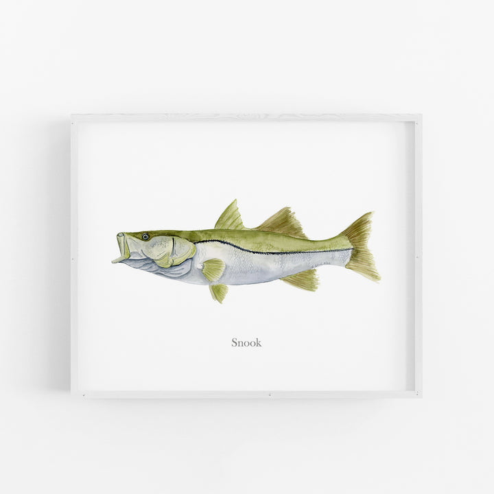 Snook Print - Tiny Toes Design