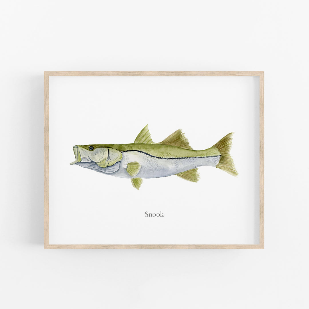 Snook Print - Tiny Toes Design