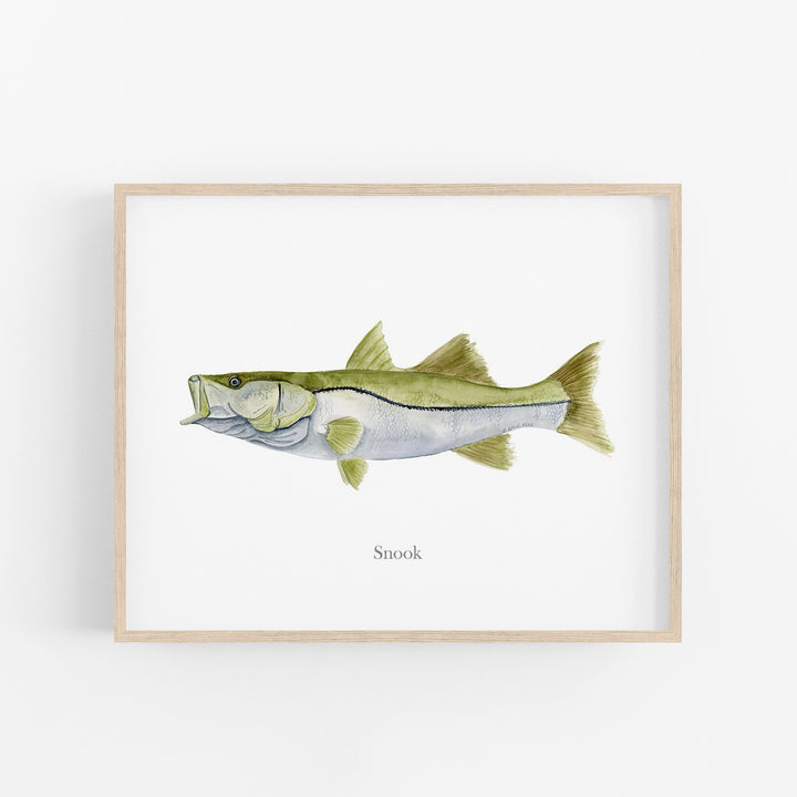 Snook Print - Tiny Toes Design
