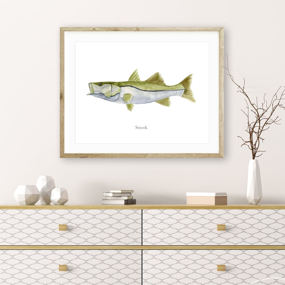 Snook Mount