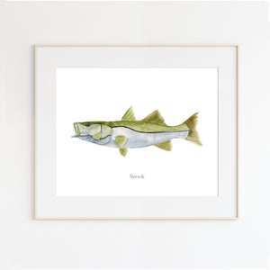 Snook Watercolor Print