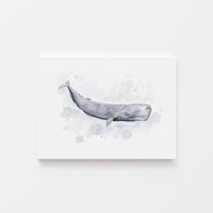 a painting of a whale on a white wall