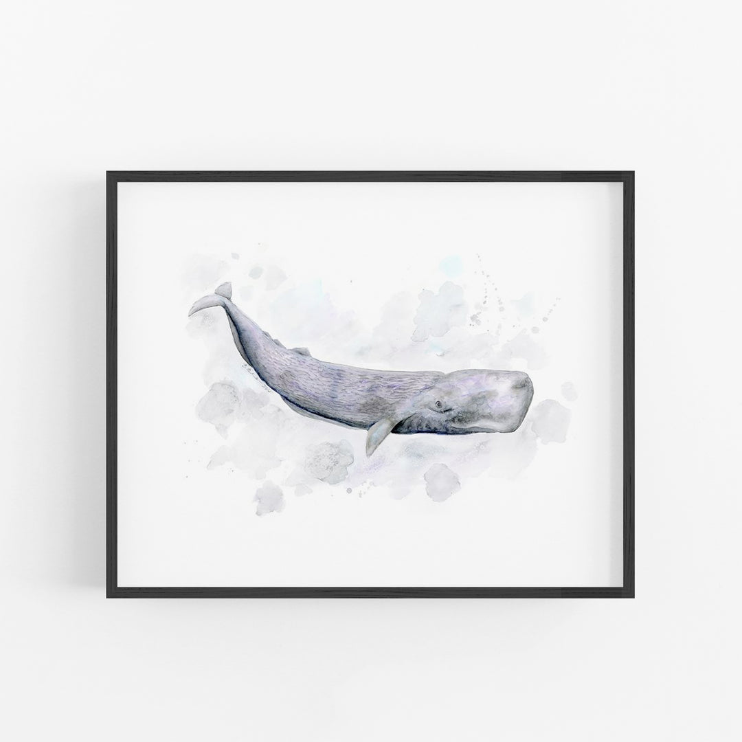 a picture of a whale in a frame