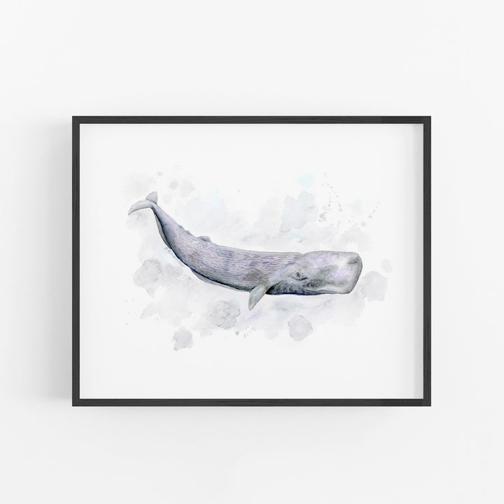 a picture of a whale in a frame