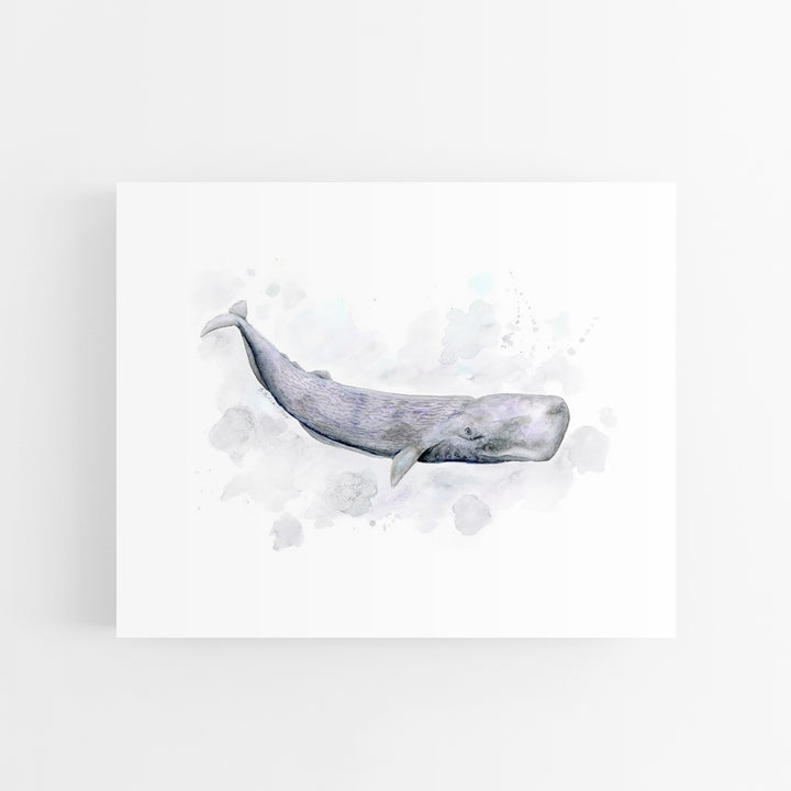 a watercolor painting of a whale on a white background