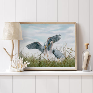 Great Blue Heron Fine Art
