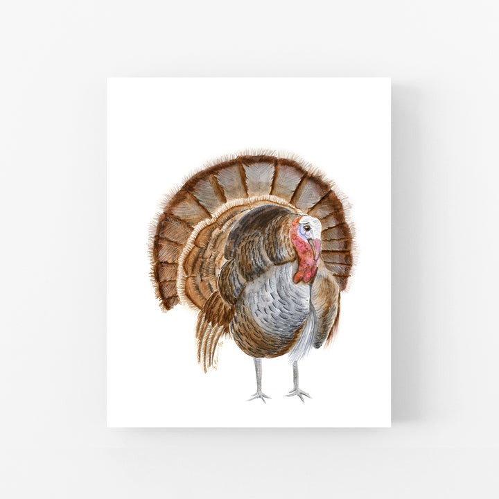 Turkey Watercolor Illustration - Tiny Toes Design