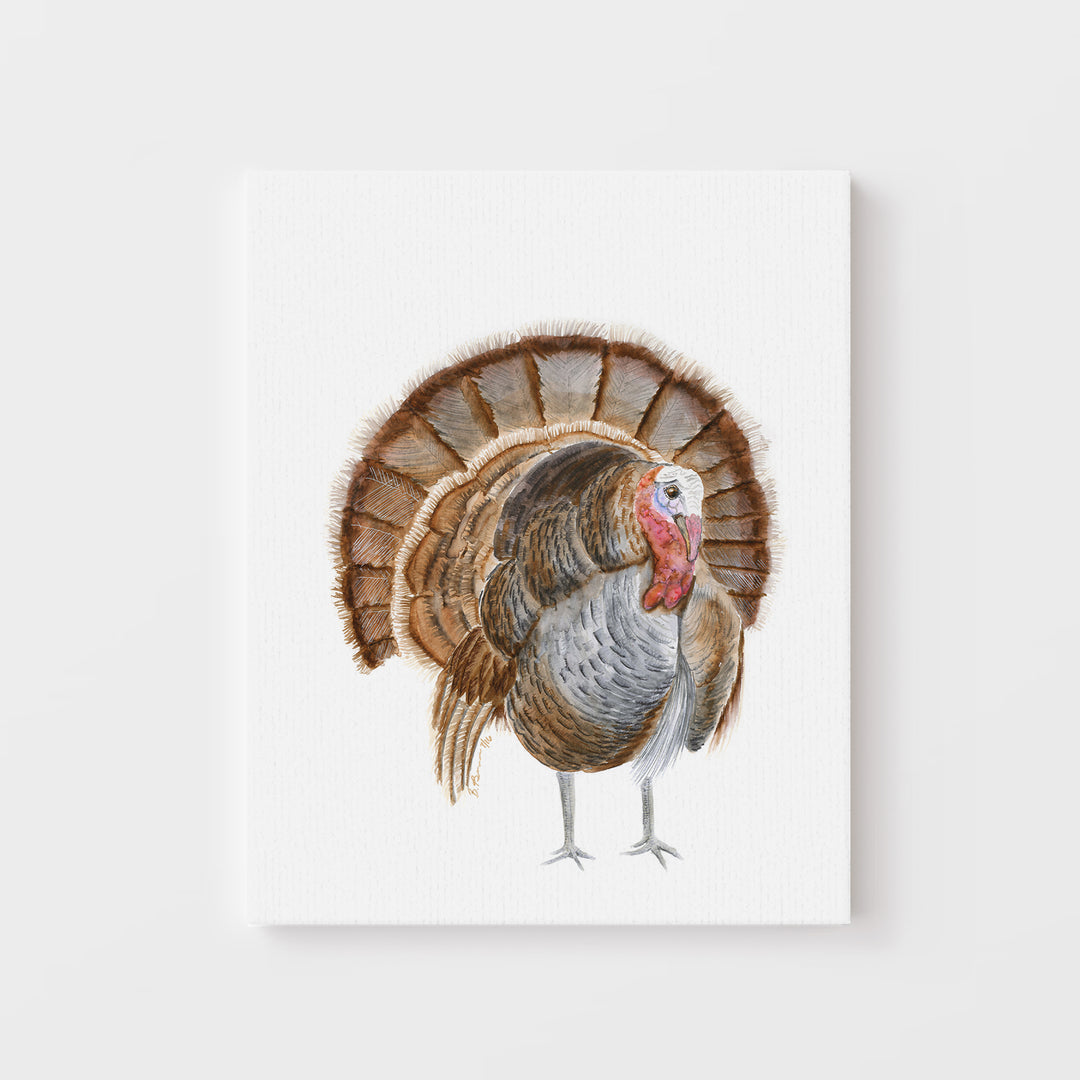 Turkey Watercolor Illustration - Tiny Toes Design