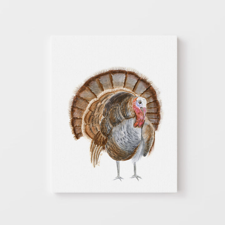 Turkey Watercolor Illustration - Tiny Toes Design