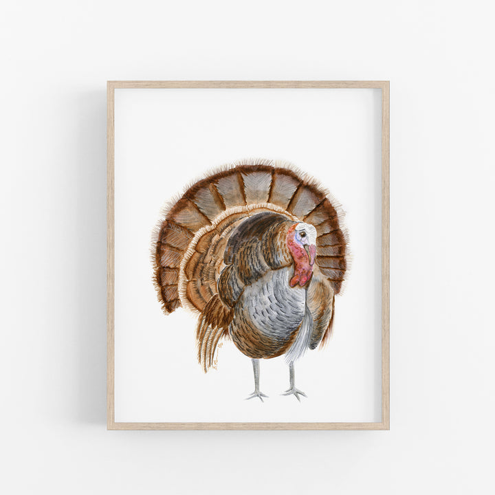 Turkey Watercolor Illustration - Tiny Toes Design