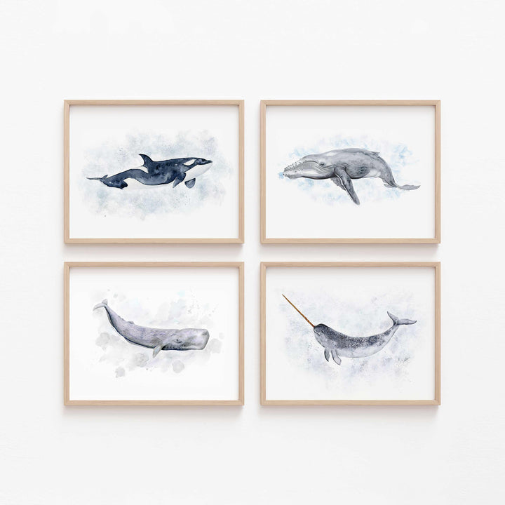 Set of 4 whale wall art prints featuring sperm whale, humpback whale, narwhal, and orca in light wood frames