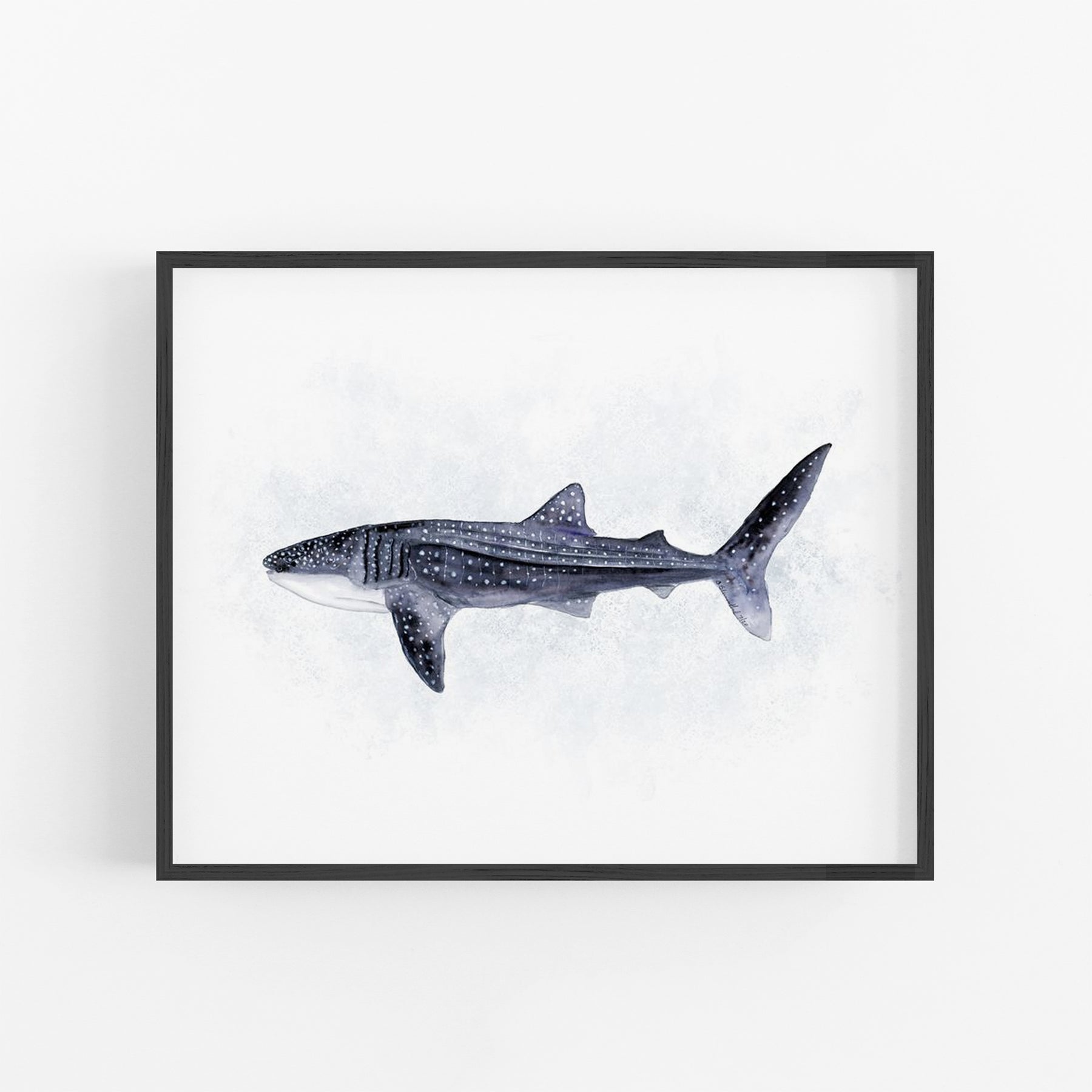 black and white shark drawing
