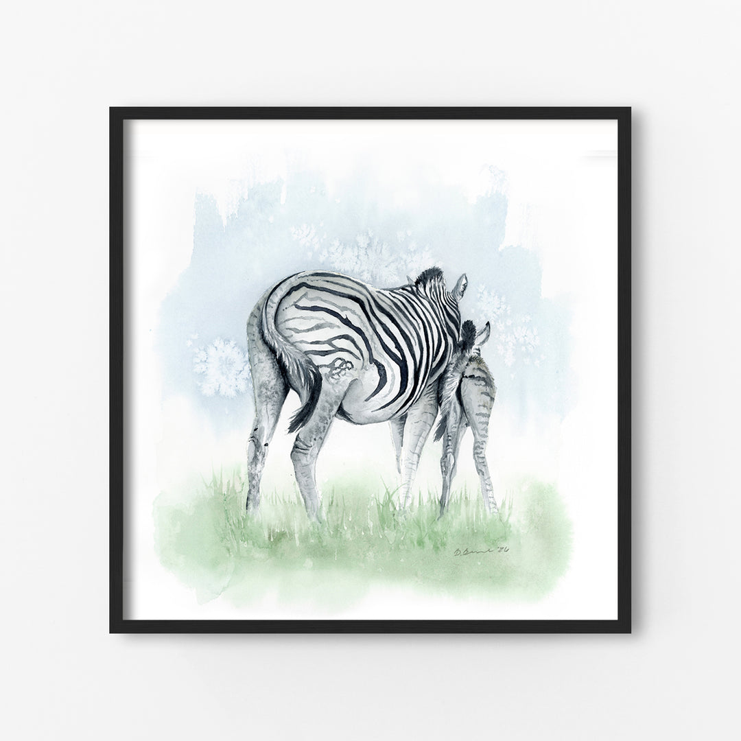 Kindred Zebras print - Tiny Toes Design - Black Frame