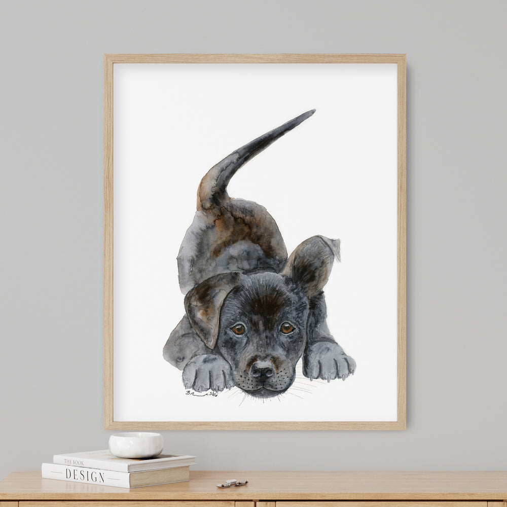 Black Labrador Puppy - Tiny Toes Design