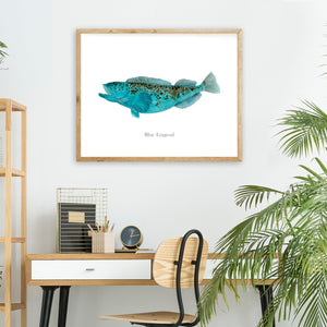 Blue Lingcod Fish Painting