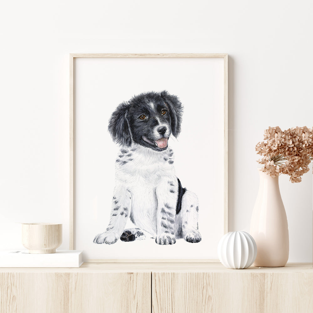 Border Collie Puppy - Tiny Toes Design