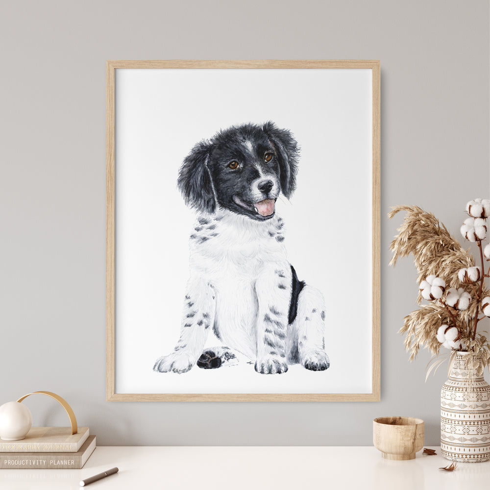 Border Collie Puppy - Tiny Toes Design