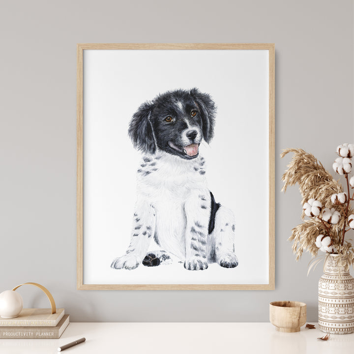 Border Collie Puppy - Tiny Toes Design