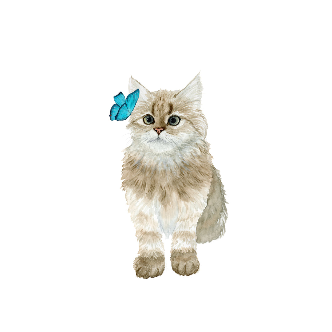ragdoll kitten and butterfly print