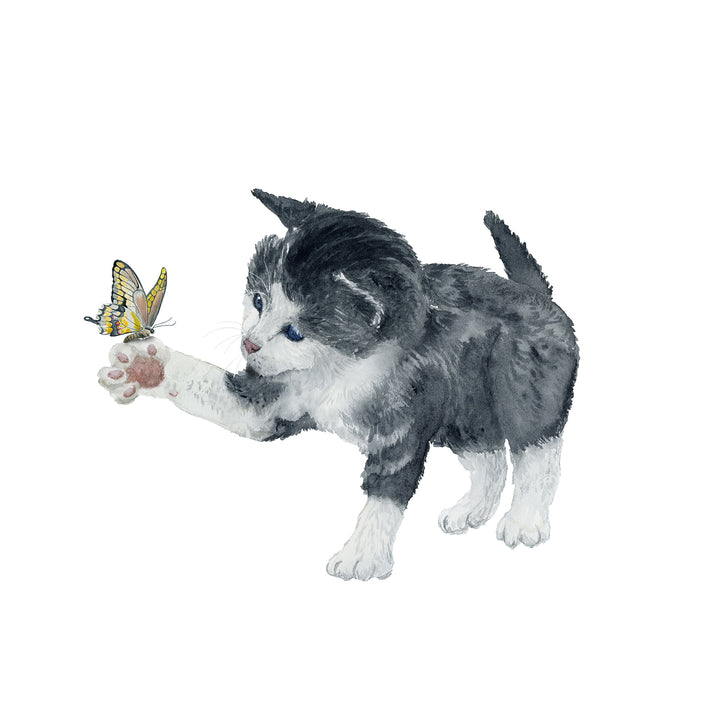 Kitten Wall Art