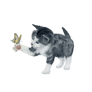Tuxedo Kitten and butterfly