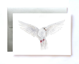 Peace Dove Watercolor Cards