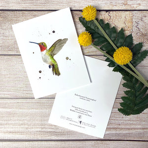 Hummingbird Notecard
